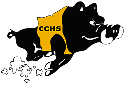 Colquitt County Packers High School Football 2023 Varsity Schedule - Colquitt County Packers